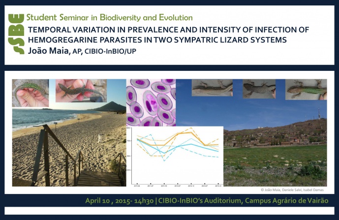 TEMPORAL VARIATION IN PREVALENCE AND INTENSITY OF INFECTION OF HEMOGREGARINE PARASITES IN TWO SYMPATRIC LIZARD SYSTEMS