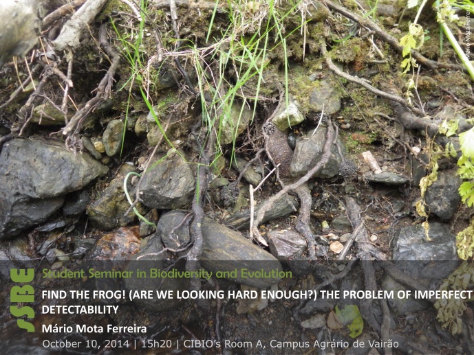 Find the frog! (Are we looking hard enough?) The problem of imperfect detectability