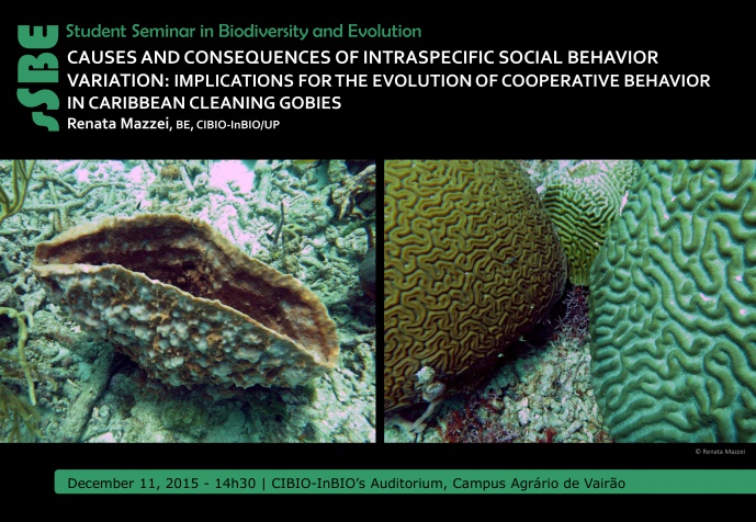 CAUSES AND CONSEQUENCES OF INTRASPECIFIC SOCIAL BEHAVIOR VARIATION: IMPLICATIONS FOR THE EVOLUTION OF COOPERATIVE BEHAVIOR IN CARIBBEAN CLEANING GOBIES