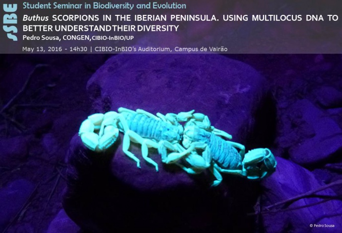 Buthus SCORPIONS IN THE IBERIAN PENINSULA. USING MULTILOCUS DNA TO BETTER UNDERSTAND THEIR DIVERSITY