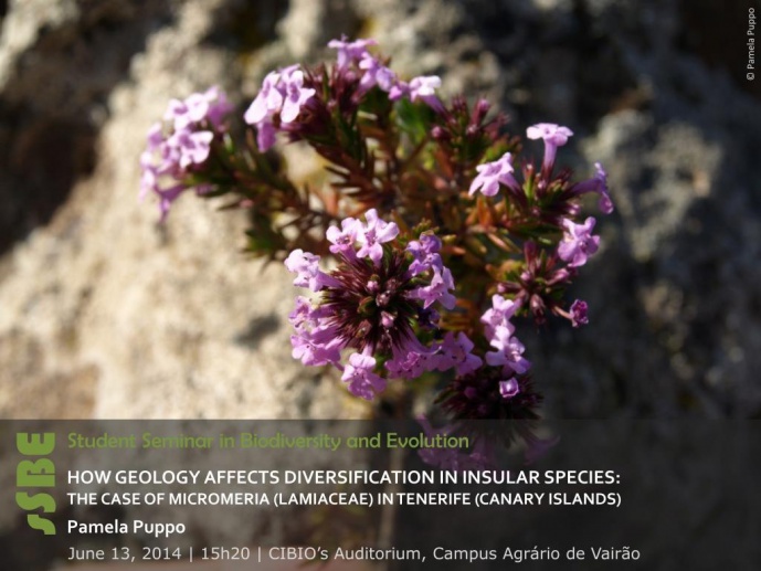 HOW GEOLOGY AFFECTS DIVERSIFICATION IN INSULAR SPECIES: THE CASE OF MICROMERIA (LAMIACEAE) IN TENERIFE (CANARY ISLANDS)