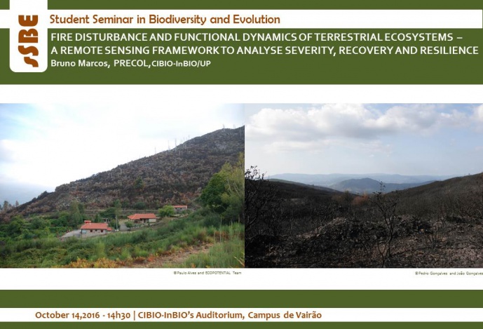 FIRE DISTURBANCE AND FUNCTIONAL DYNAMICS OF TERRESTRIAL ECOSYSTEMS  – A REMOTE SENSING FRAMEWORK TO ANALYSE SEVERITY, RECOVERY AND RESILIENCE