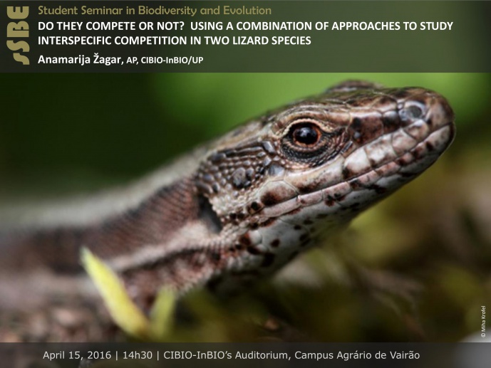 DO THEY COMPETE OR NOT? USING A COMBINATION OF APPROACHES TO STUDY INTERSPECIFIC COMPETITION IN TWO LIZARD SPECIES