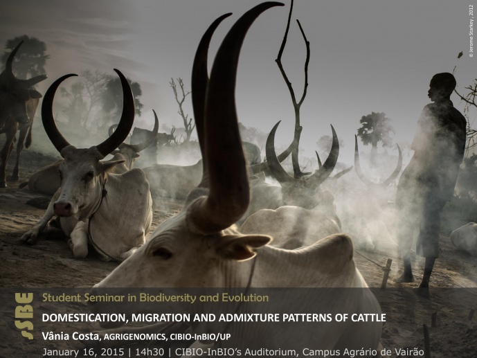 DOMESTICATION, MIGRATION AND ADMIXTURE PATTERNS OF CATTLE