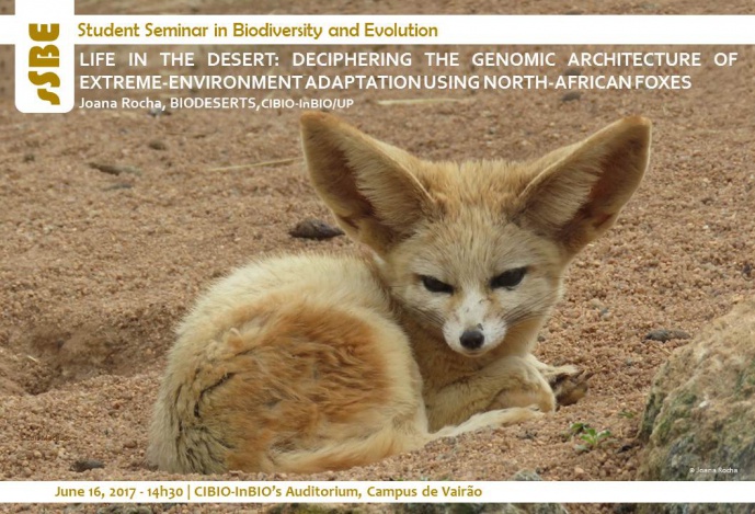LIFE IN THE DESERT: DECIPHERING THE GENOMIC ARCHITECTURE OF EXTREME-ENVIRONMENT ADAPTATION USING NORTH-AFRICAN FOXES