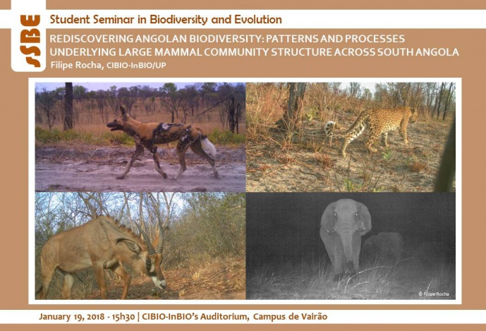 REDISCOVERING ANGOLAN BIODIVERSITY: PATTERNS AND PROCESSES UNDERLYING LARGE MAMMAL COMMUNITY STRUCTURE ACROSS SOUTH ANGOLA