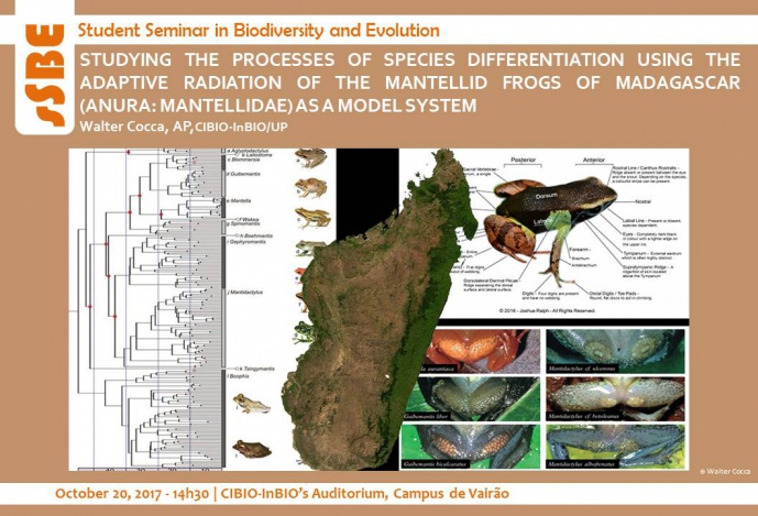 STUDYING THE PROCESSES OF SPECIES DIFFERENTIATION USING THE ADAPTIVE RADIATION OF THE MANTELLID FROGS OF MADAGASCAR (ANURA: MANTELLIDAE) AS A MODEL SYSTEM