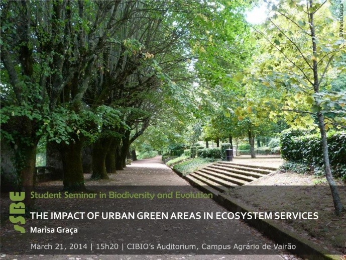 THE IMPACT OF URBAN GREEN AREAS IN ECOSYSTEM SERVICES