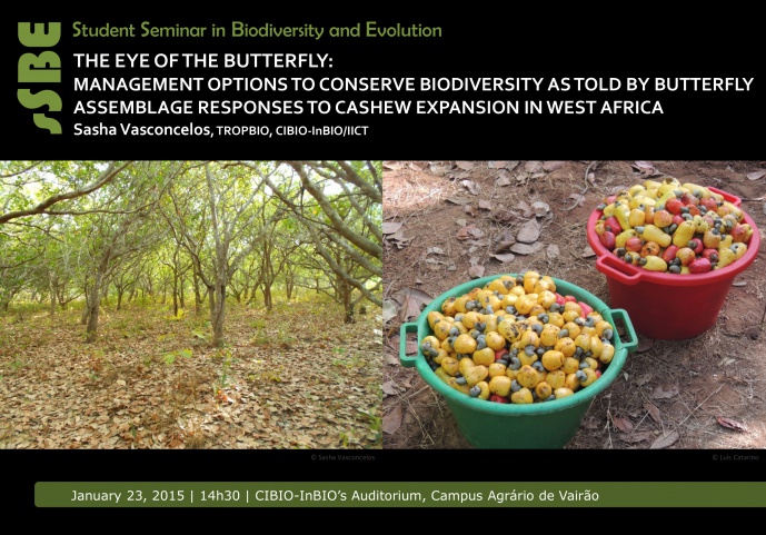 THE EYE OF THE BUTTERFLY: MANAGEMENT OPTIONS TO CONSERVE BIODIVERSITY AS TOLD BY BUTTERFLY ASSEMBLAGE RESPONSES TO CASHEW EXPANSION IN WEST AFRICA