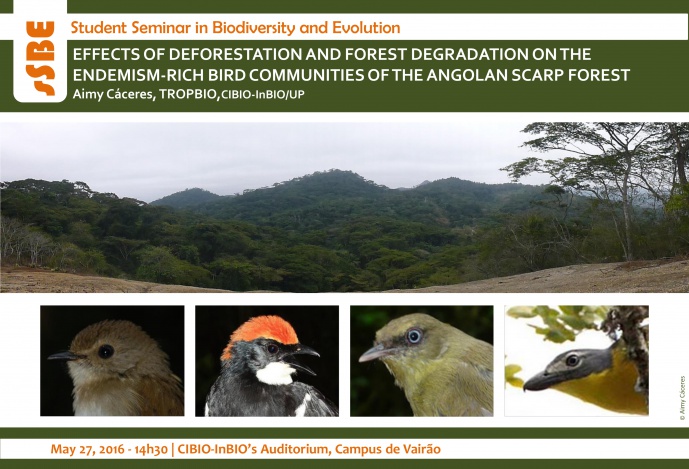EFFECTS OF DEFORESTATION AND FOREST DEGRADATION ON THE ENDEMISM-RICH BIRD COMMUNITIES OF THE ANGOLAN SCARP FOREST