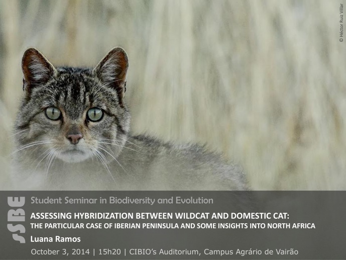 ASSESSING HYBRIDIZATION BETWEEN WILDCAT AND DOMESTIC CAT: THE PARTICULAR CASE OF IBERIAN PENINSULA AND SOME INSIGHTS INTO NORTH AFRICA