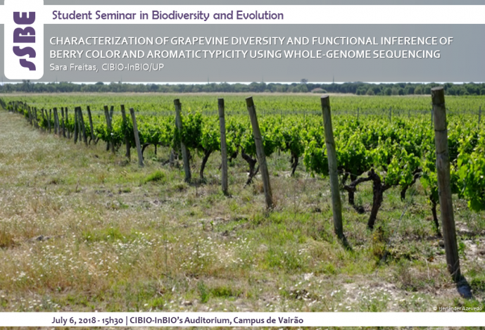 CHARACTERIZATION OF GRAPEVINE DIVERSITY AND FUNCTIONAL INFERENCE OF BERRY COLOR AND AROMATIC TYPICITY USING WHOLE-GENOME SEQUENCING