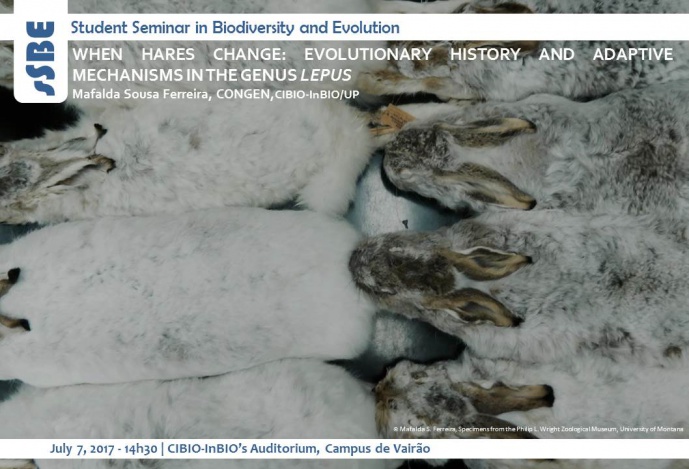 WHEN HARES CHANGE: EVOLUTIONARY HISTORY AND ADAPTIVE MECHANISMS IN THE GENUS LEPUS