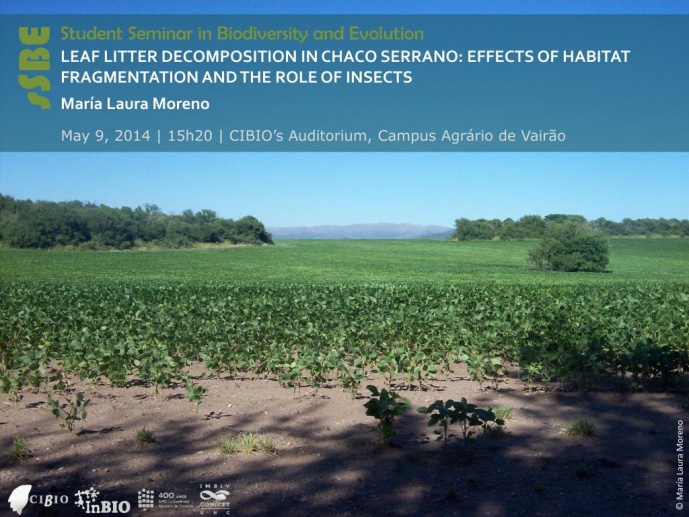 LEAF LITTER DECOMPOSITION IN CHACO SERRANO: EFFECTS OF HABITAT FRAGMENTATION AND THE ROLE OF INSECTS