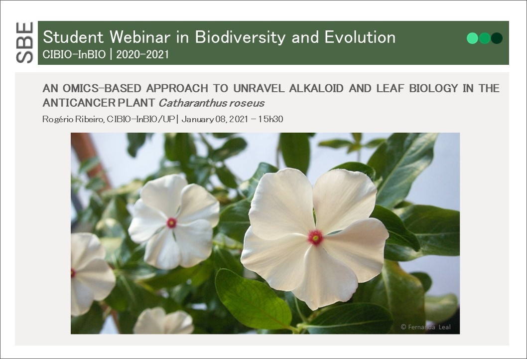 An omics-based approach to unravel alkaloid and leaf biology in the anticancer plant Catharanthus roseus