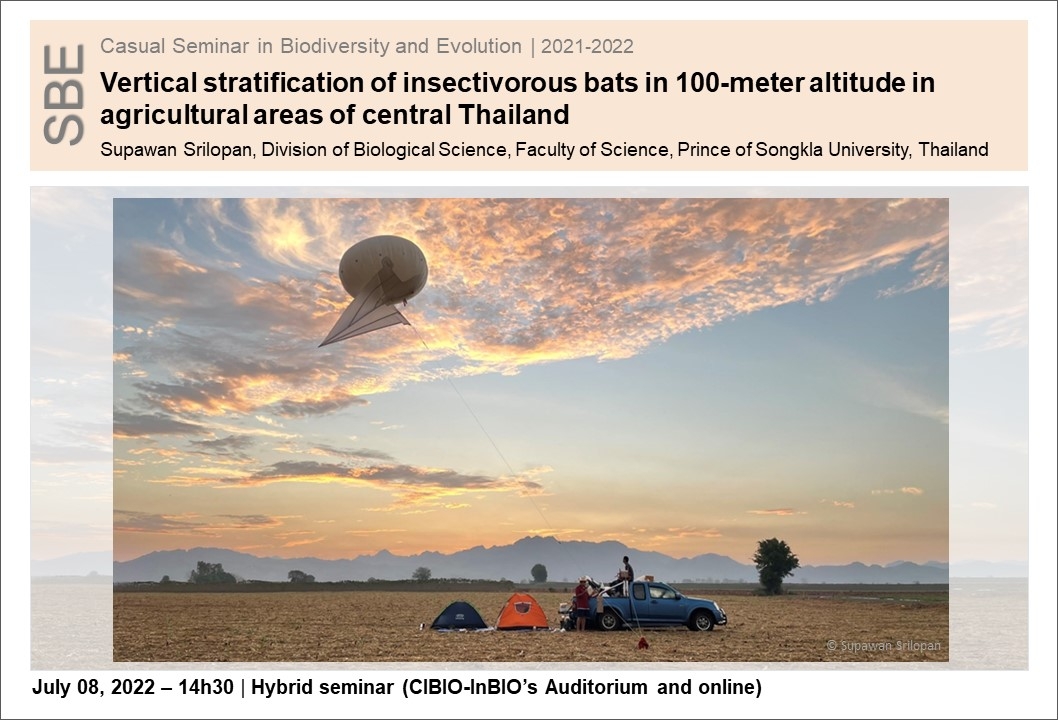Vertical stratification of insectivorous bats in 100-meter altitude in agricultural areas of central Thailand