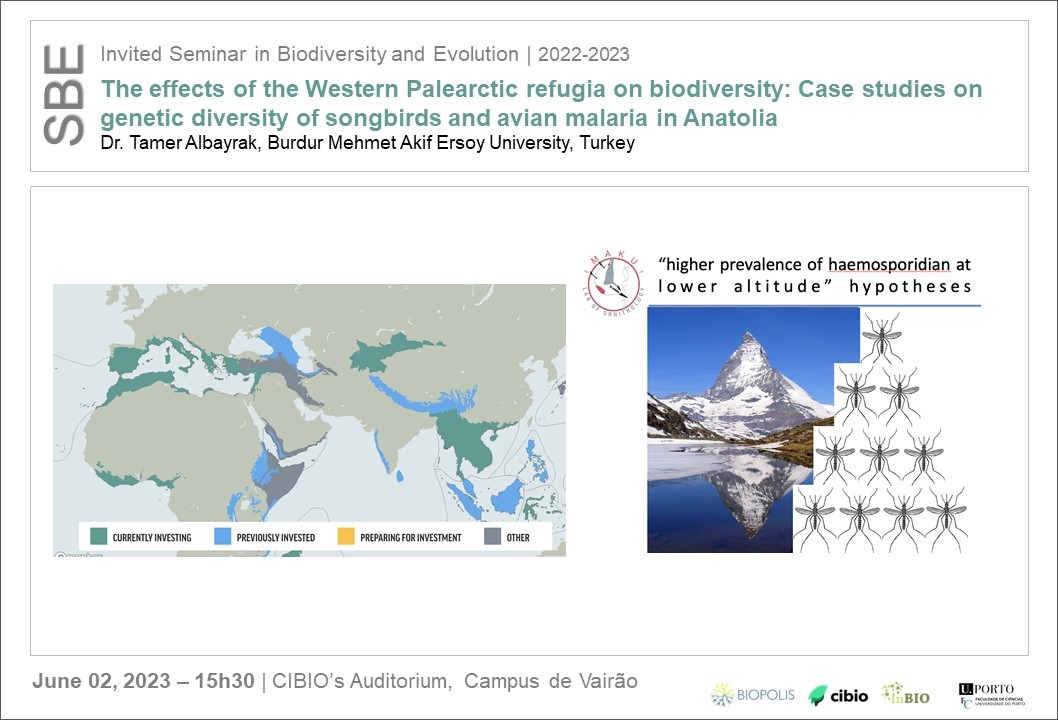 The effects of the Western Palearctic refugia on biodiversity: Case studies on genetic diversity of songbirds and avian malaria in Anatolia