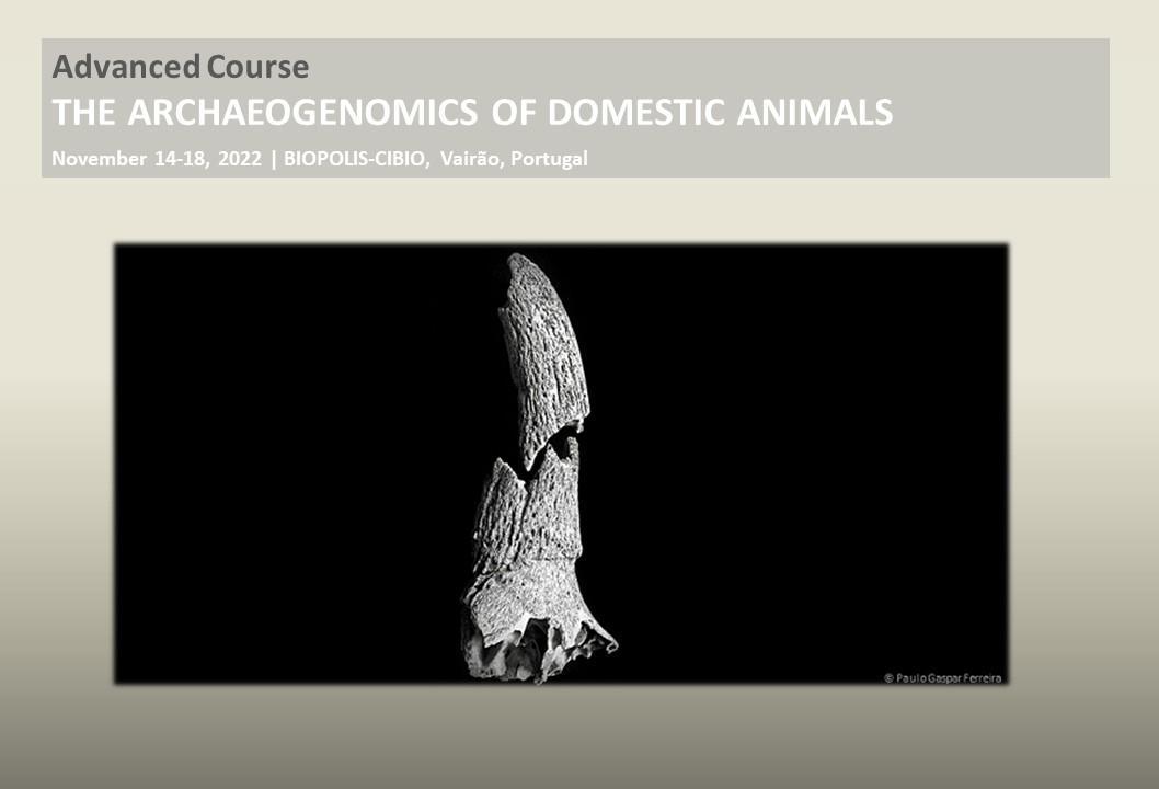 The Archaeogenomics of Domestic Animals