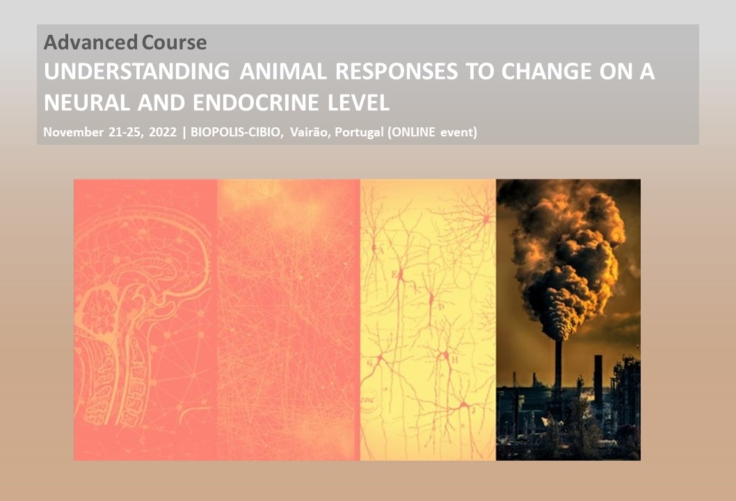 Understanding Animal Responses to Change on a Neural and Endocrine Level