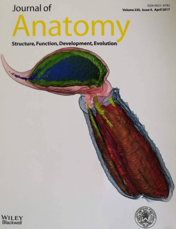 NEW RESEARCH WORK ON STINGER DIVERSITY IN SCORPIONS FEATURED ON THE COVER OF JOURNAL OF ANATOMY