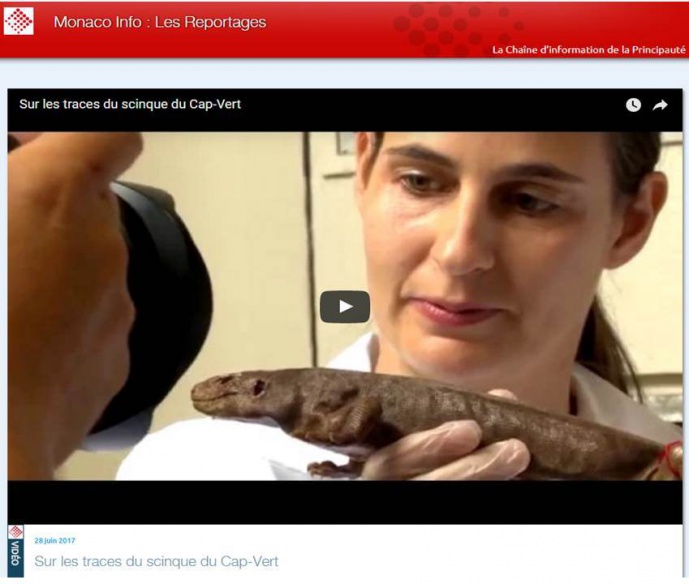RAQUEL VASCONCELOS’ RESEARCH ON THE CABO VERDE GIANT SKINK IN THE SPOTLIGHT AT MONACO CHANNEL
