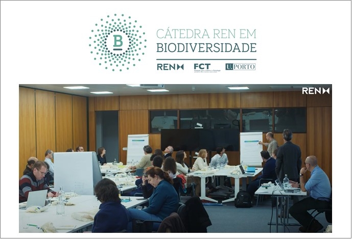 REN Biodiversity Strategy Workshop