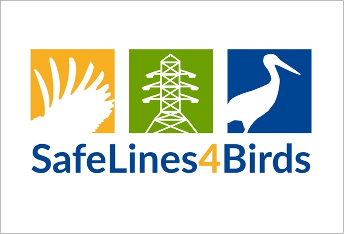 Launch of LIFE SafeLines4Birds project to reduce mortality of birds along power lines