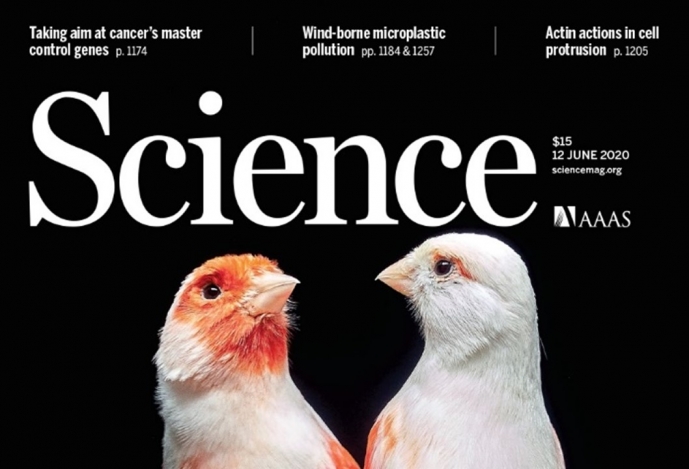 CIBIO-INBIO Research is on the cover of SCIENCE magazine