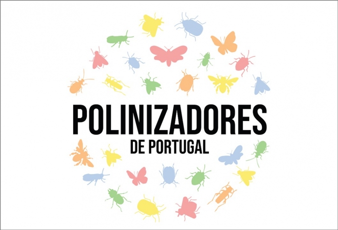 Cidadãos e cientistas juntos no estudo dos polinizadores de Portugal