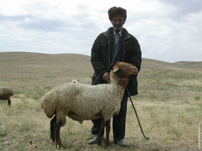 ALBANO BEJA PEREIRA (CIBIO-InBIO) GIVES A TALK ON THE ORIGIN OF DOMESTIC ANIMALS