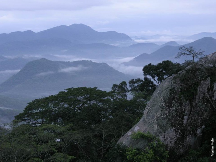 Conserving Angola's threatened Afromontane forests