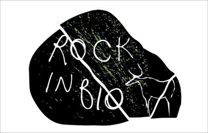 ROCKinBIO - A biodeterioration model to predict biological impact on exposed rock surfaces and open-air rock-art