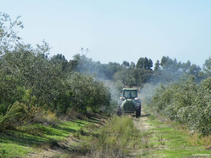 ECOLIVES - Fostering sustainable management in Mediterranean olive farms: pest control services provided by wild species as incentives for biodiversity conservation