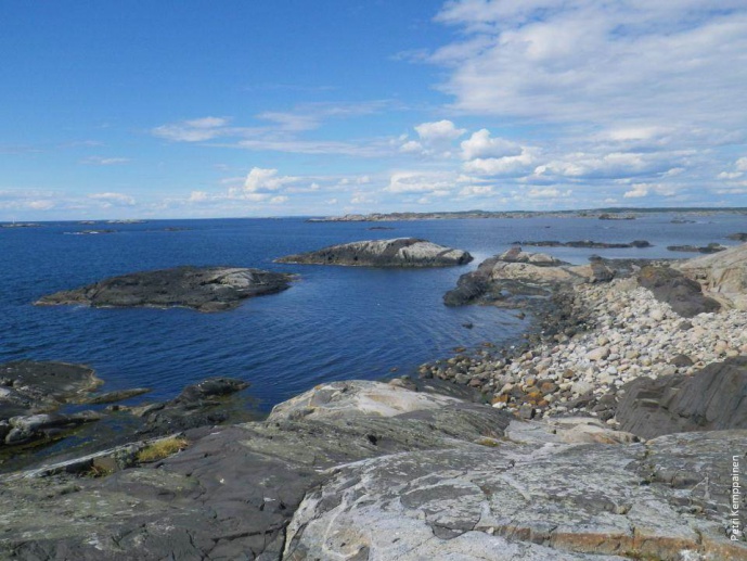 Study of genetic and ecological mechanisms involved in the formation of <em>Littorina fabalis</em> ecotypes along the Swedish coast