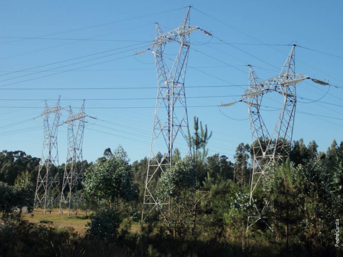 Ecological characterization of the bird communities and monitoring of the &ldquo;barrier effect&rdquo; in the powerline Carrapatelo&ndash;Estarreja 2/Carrapatelo&ndash;Mourisca (220 kV)